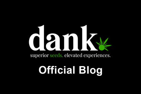 Dank Giveaway 2024 WINNERS!
