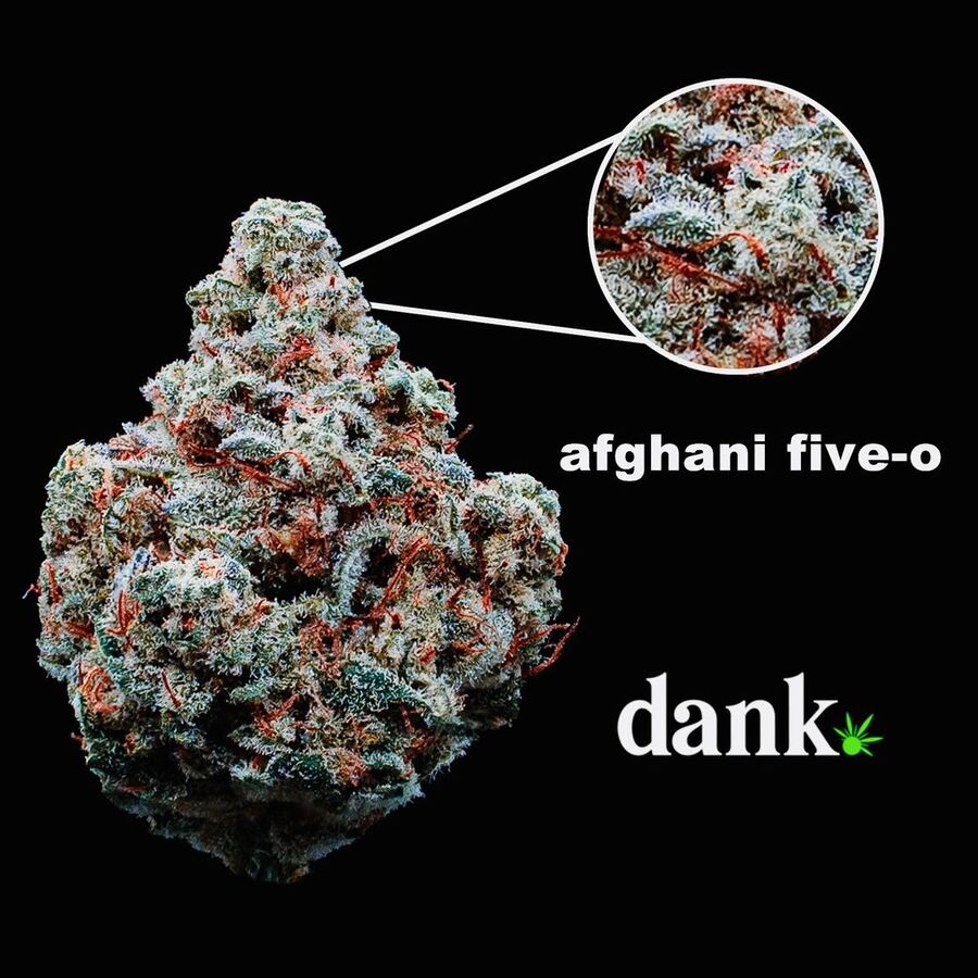 Afghani Five-O 2.0 • NEW Re-Release!